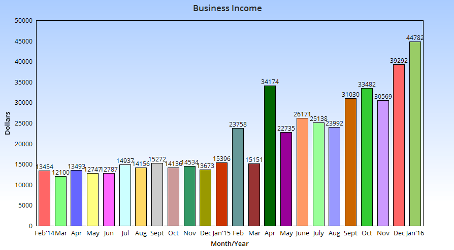 January business income chart